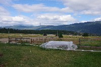 IMGP4210.JPG IMGP4210.JPG