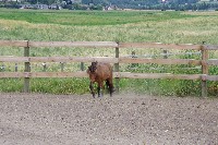 IMGP4211.JPG IMGP4211.JPG