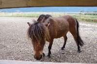 IMGP4212.JPG IMGP4212.JPG