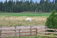 IMGP4213.JPG IMGP4213.JPG