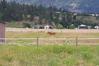 IMGP4215.JPG IMGP4215.JPG