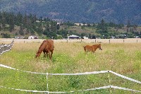 IMGP4216.JPG IMGP4216.JPG