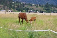 IMGP4217.JPG IMGP4217.JPG