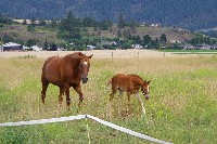 IMGP4218.JPG IMGP4218.JPG