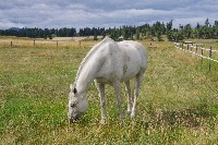 IMGP4219.JPG IMGP4219.JPG