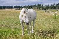 IMGP4220.JPG IMGP4220.JPG