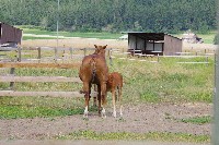 IMGP4222.JPG IMGP4222.JPG