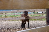 IMGP4223.JPG IMGP4223.JPG