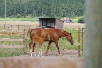 IMGP4224.JPG IMGP4224.JPG