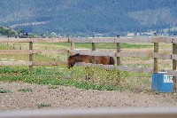 IMGP4225.JPG IMGP4225.JPG