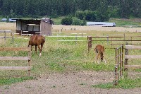 IMGP4226.JPG IMGP4226.JPG