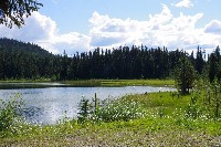 IMGP4232.JPG IMGP4232.JPG