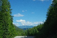 IMGP4246.JPG IMGP4246.JPG