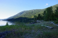 IMGP4272.JPG IMGP4272.JPG