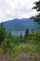 IMGP4283.JPG IMGP4283.JPG