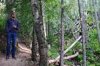 IMGP4365.JPG IMGP4365.JPG