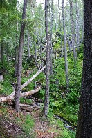 IMGP4366.JPG IMGP4366.JPG