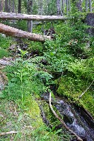 IMGP4367.JPG IMGP4367.JPG