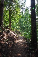 IMGP4381.JPG IMGP4381.JPG