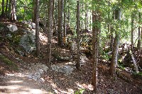 IMGP4387.JPG IMGP4387.JPG