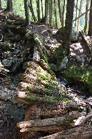 IMGP4388.JPG IMGP4388.JPG