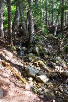 IMGP4389.JPG IMGP4389.JPG