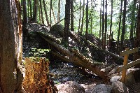 IMGP4390.JPG IMGP4390.JPG