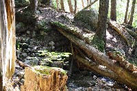 IMGP4391.JPG IMGP4391.JPG