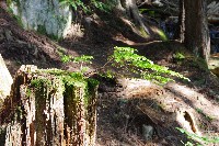 IMGP4392.JPG IMGP4392.JPG