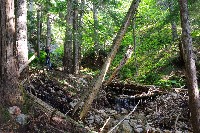 IMGP4394.JPG IMGP4394.JPG