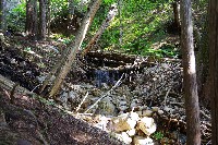 IMGP4396.JPG IMGP4396.JPG