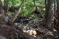 IMGP4397.JPG IMGP4397.JPG