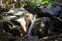 IMGP4398.JPG IMGP4398.JPG