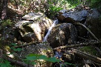 IMGP4401.JPG IMGP4401.JPG