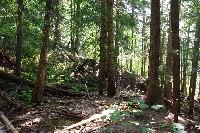 IMGP4407.JPG IMGP4407.JPG