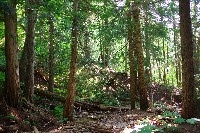 IMGP4408.JPG IMGP4408.JPG