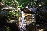 IMGP4410.JPG IMGP4410.JPG