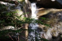 IMGP4411.JPG IMGP4411.JPG