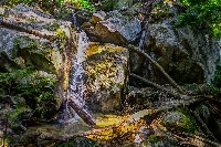 IMGP4412.JPG IMGP4412.JPG