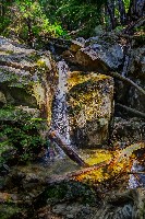 IMGP4413.JPG IMGP4413.JPG