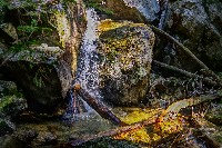 IMGP4414.JPG IMGP4414.JPG