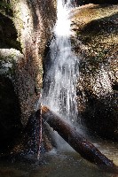 IMGP4416.JPG IMGP4416.JPG