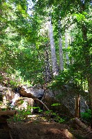 IMGP4417.JPG IMGP4417.JPG