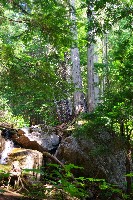 IMGP4418.JPG IMGP4418.JPG