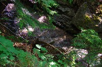 IMGP4428.JPG IMGP4428.JPG