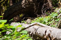 IMGP4438.JPG IMGP4438.JPG