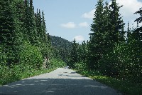 IMGP4455.JPG IMGP4455.JPG