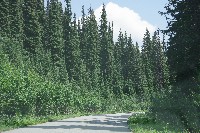 IMGP4456.JPG IMGP4456.JPG