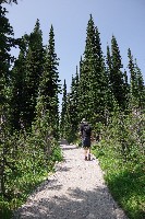 IMGP4457.JPG IMGP4457.JPG