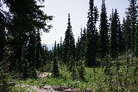 IMGP4458.JPG IMGP4458.JPG